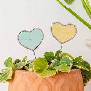 May include: Two heart-shaped plant markers, one light blue and one yellow, with silver wire stems. They are set in a terracotta pot filled with green and white variegated foliage. The background is a plain white wall.