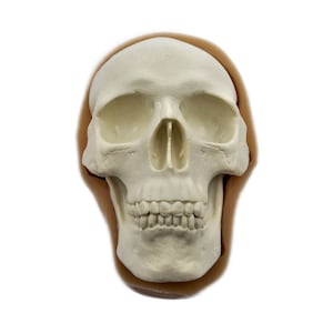 3D Large 3.58in Skull Face Food Grade Silicone Mold