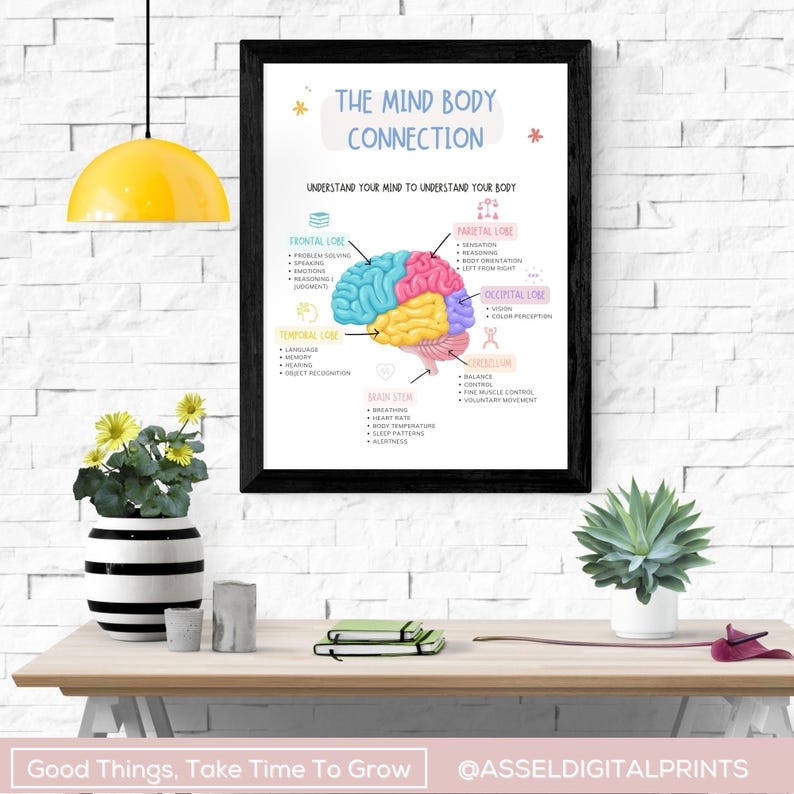 Mind Body Connection Poster, Brain Anatomy Print (digital Download) - Etsy