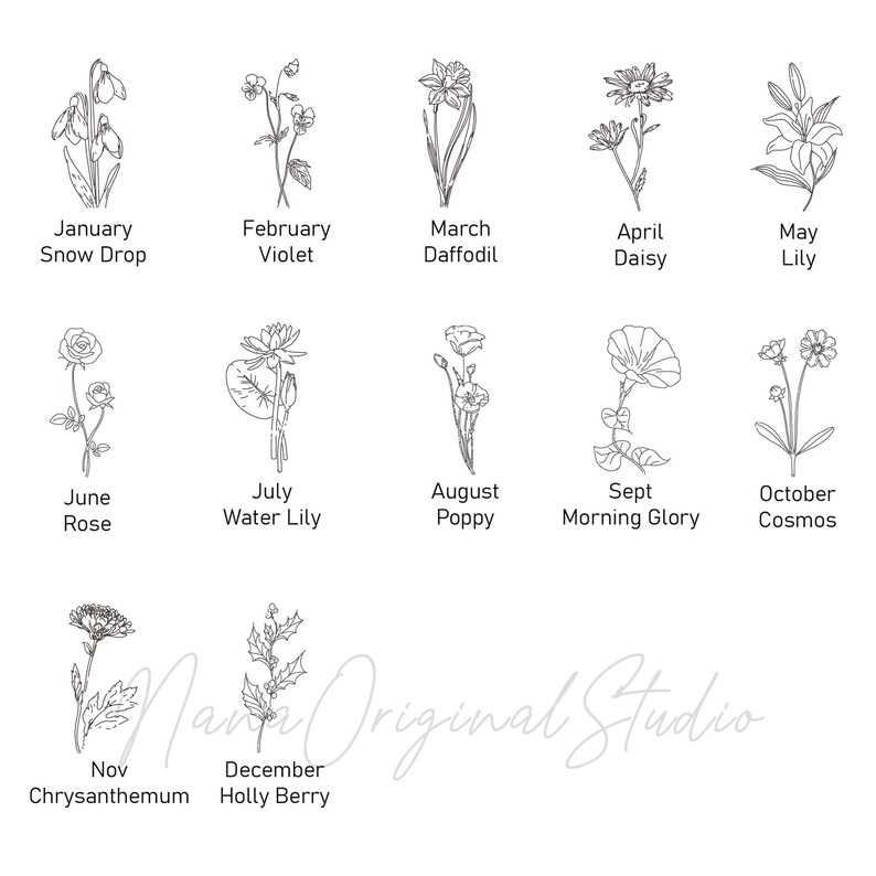 Puede incluir: Una ilustraci&oacute;n en blanco y negro de flores que representan cada mes del a&ntilde;o. Enero es un galanto, febrero es una violeta, marzo es un narciso, abril es una margarita, mayo es un lirio, junio es una rosa, julio es un nen&uacute;far, agosto es una amapola, septiembre es una campanilla, octubre es un cosmos, noviembre es un crisantemo y diciembre es una baya de acebo.