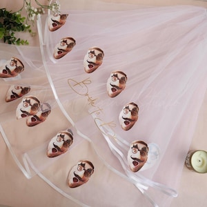 Custom Face Veil for Bride, Future Mrs Veil, Bachelorette Party Veil, Bride To Be Veil, Bridal Shower Gift,  Funny Veil
