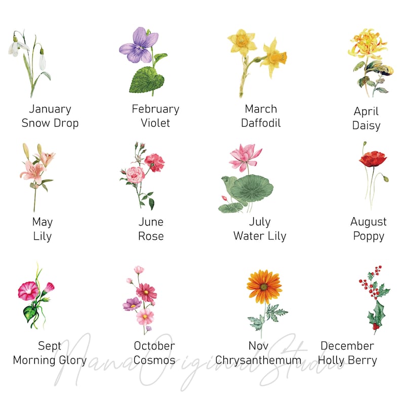 May include: A watercolor illustration of twelve different flowers, each representing a month of the year. The flowers include snowdrop, violet, daffodil, daisy, lily, rose, water lily, poppy, morning glory, cosmos, chrysanthemum, and holly berry.