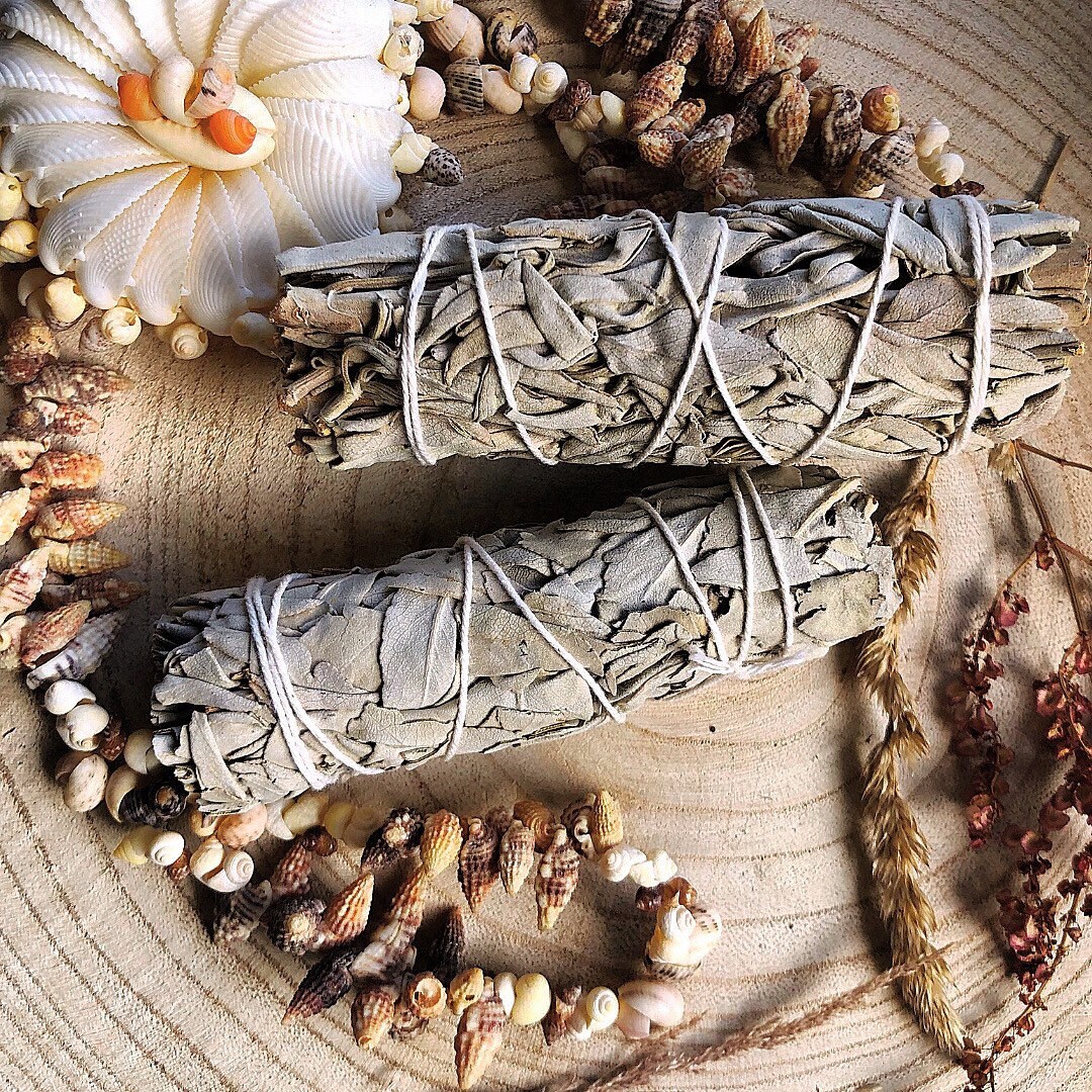 Sauge Blanche Californie | Forme Torche