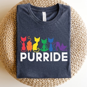 Pride Cat Shirt, Purride Shirt, Cat With LGBT Shirt, Cat Lover Shirt, Reproductive Rights Shirt, LGBTQ Shirt, Gay Lesbian Pride Shirt