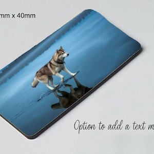 May include: A grey and white wolf dog stands in a misty blue lake. The dog is looking to the right of the image. The dog's reflection is visible in the water. The image is a magnet with a size of 75mm x 40mm.