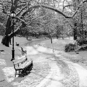 Prospect Park Brooklyn, NY, Winter Landscape, Wallpaper Size Winter Landscape,