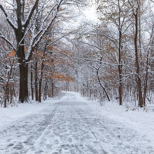 Prospect Park Brooklyn, NY, Winter Landscape, Wallpaper Size Winter Landscape,