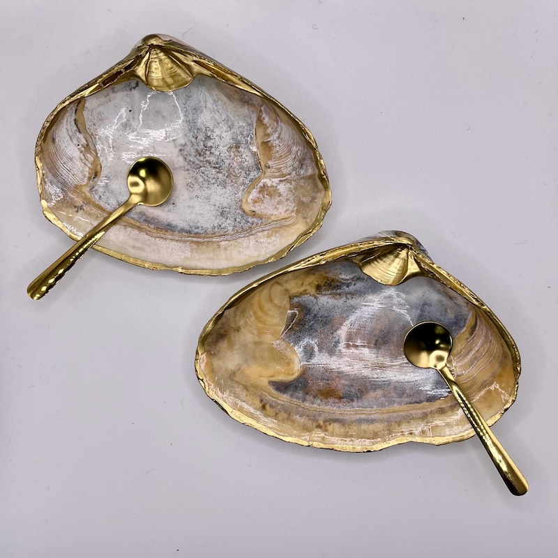 Abalone Salt Dish - Etsy