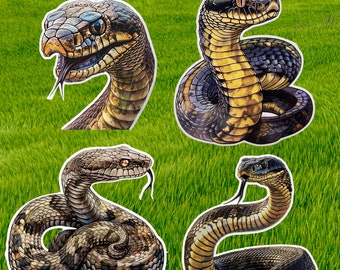 Pegatinas de vinilo King Cobra / King CobraStickers / Pegatinas de reptiles