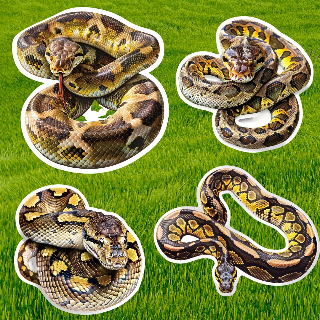 Burmese Python Vinyl Stickers | Burmese Python Stickers | Reptile ...