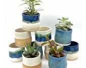 3 quot Succulent Ceramic Pot Small Planter Artisan Friend Gift Inspirational Whimsical Ceramic Clay Pot Sharing Sunshine
