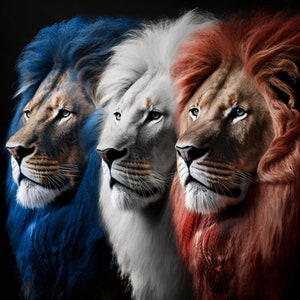 A digital image of 3 lions,printable artwork,instant download,wall art deco,graphic design prints,modern art prints