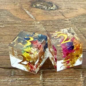 May include: Two clear resin dice with gold numbers and colorful dried flowers inside. The dice are set against a wooden background. The dice are for tabletop games.