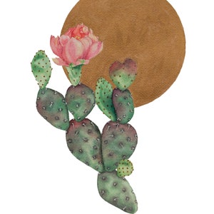 Könnte beinhalten: Aquarell-Illustration eines Feigenkaktus mit einer rosa Blüte und einem braunen Kreis im Hintergrund. Die Kaktusblätter sind grün und lila, mit kleinen Punkten. Die Blüte hat rosa Blütenblätter.