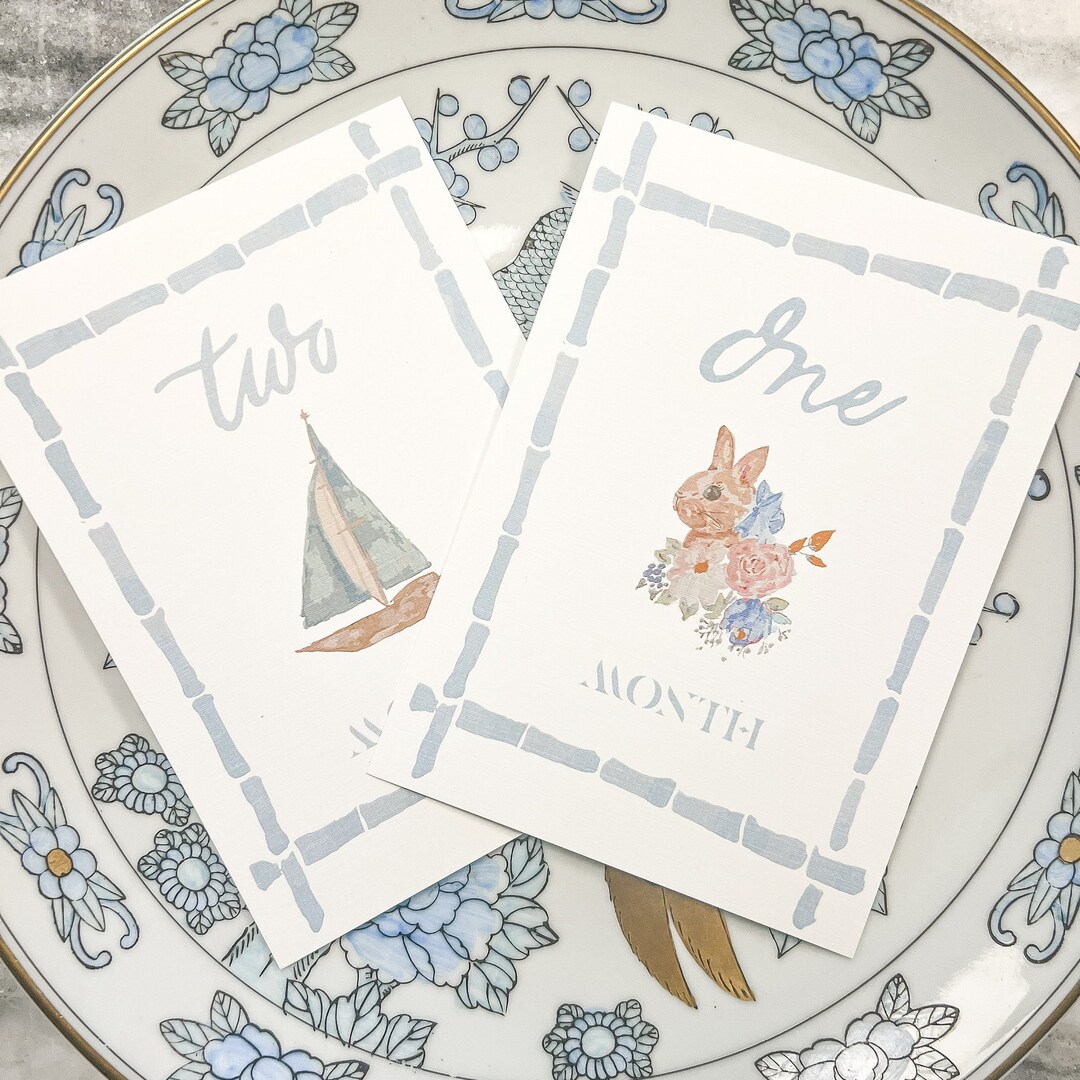 Boy's Watercolor Milestone Set | Monthly Cards | Baby Shower Gift ...