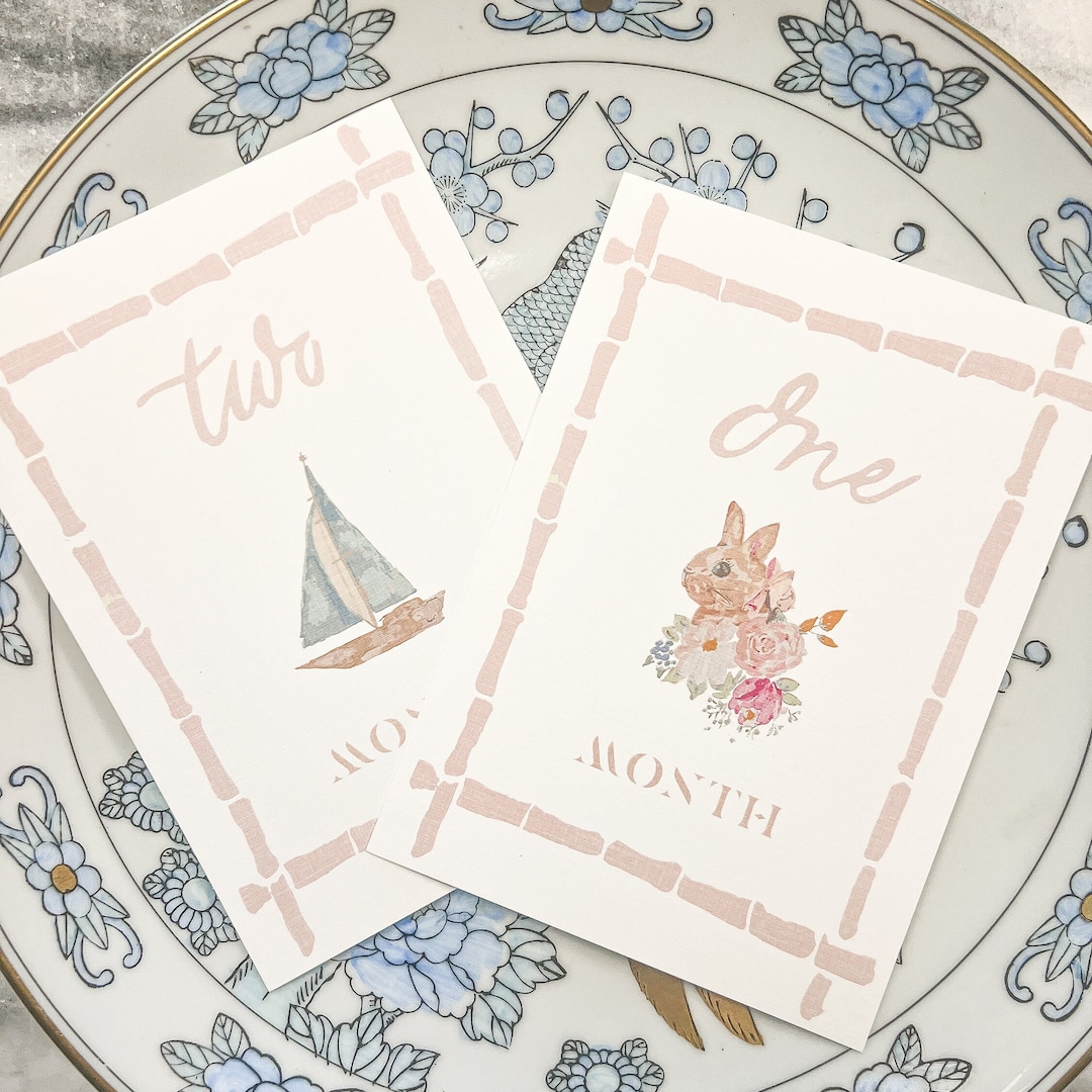 Baby Watercolor Milestone Set | Monthly Cards | Baby Shower Gift ...