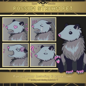 Pixel Possum Pngtuber | Premade Stream Pet for Twitch, Youtube, Obs, STreamlabs, Live Streaming, Veadotube Mini