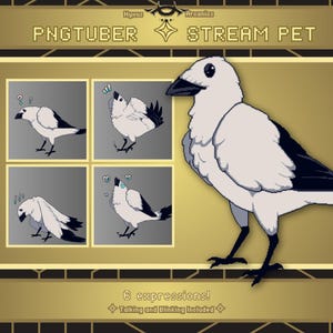 May include: A digital art graphic of a white and black bird with various expressions. The image includes the text "PNGTUBER STREAM PET" and "6 expressions! Talking and Blinking Included". The bird has a black beak and feet.