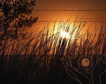 Golden Hour Sunset Field Photography Print, Rustic Farmhouse Wall Art (Digital Download)