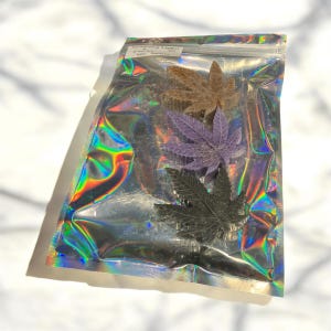wax melt sample packs with multiple scents to try
