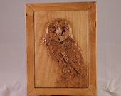 Owl in a Tree