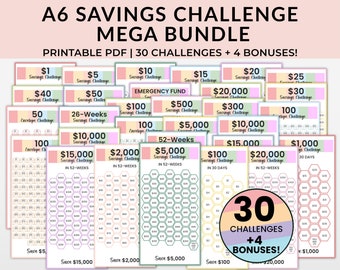 Money Saving Challenge, A6 Mini Savings Challenge Tracker Printables, A6 Size Savings Tracker, 100 Envelope Challenge, 1000 Saving Challenge