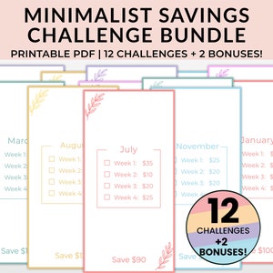 Minimalist Savings Challenge Printable Bundle, A6 Low Income Savings Challenge Bundle, A6 Mini Savings Challenge, 100 Envelope Challenge