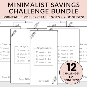 Minimalist Savings Challenge Printable Bundle, A6 Low Income Savings Challenge Bundle, 12 Months Savings Tracker, 100 Envelope Challenge
