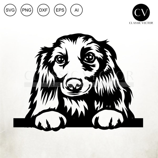 Peeking Long Haired Dachshund SVG