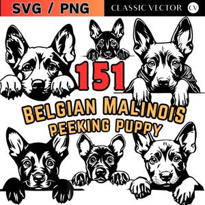 Lot de 151 chiots belges Malinois Peeking Puppy SVG PNG pour travaux manuels