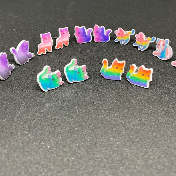 Beautiful Cat flag Rainbow Ear Studs,Pride stud earrings LGBTQIA+ queer Bi Trans Pan Ace Aro Fluid