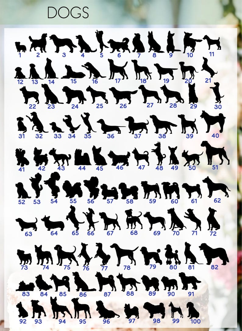 May include: A chart of 100 different dog silhouettes, numbered 1 to 100. The silhouettes are black and are arranged in rows of 10. The chart is titled "DOGS".