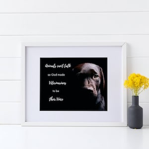 Veterinarian Gift Thank You, Gift For Veterinarian Office, Gift For Veterinary Staff, Vet Med Gifts, Thank You Veterinarian, Veterinary Art