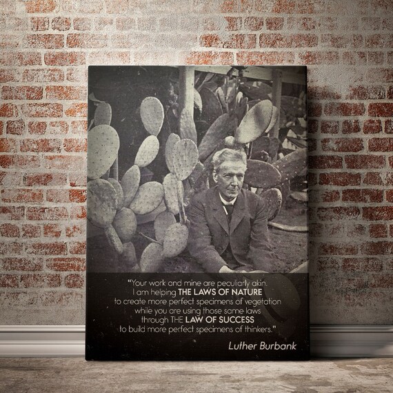 QUOTATION ART - ENTREPRENEUR Art – Motivation Luther Burbank Quotes Art - Black White Art - Canvas Print Framed Wall Art - Burbank Plants
