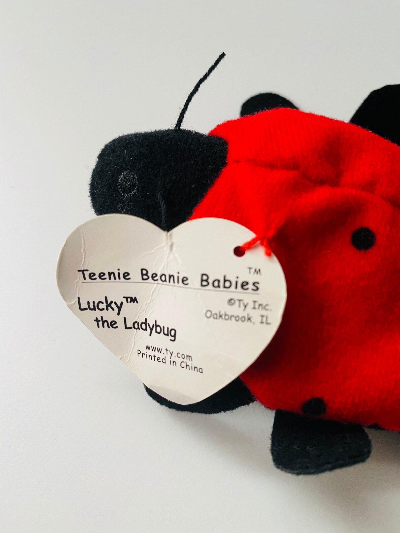 Teenie Beanie Baby Lucky the Ladybug, Beanie Baby Lucky the Ladybug