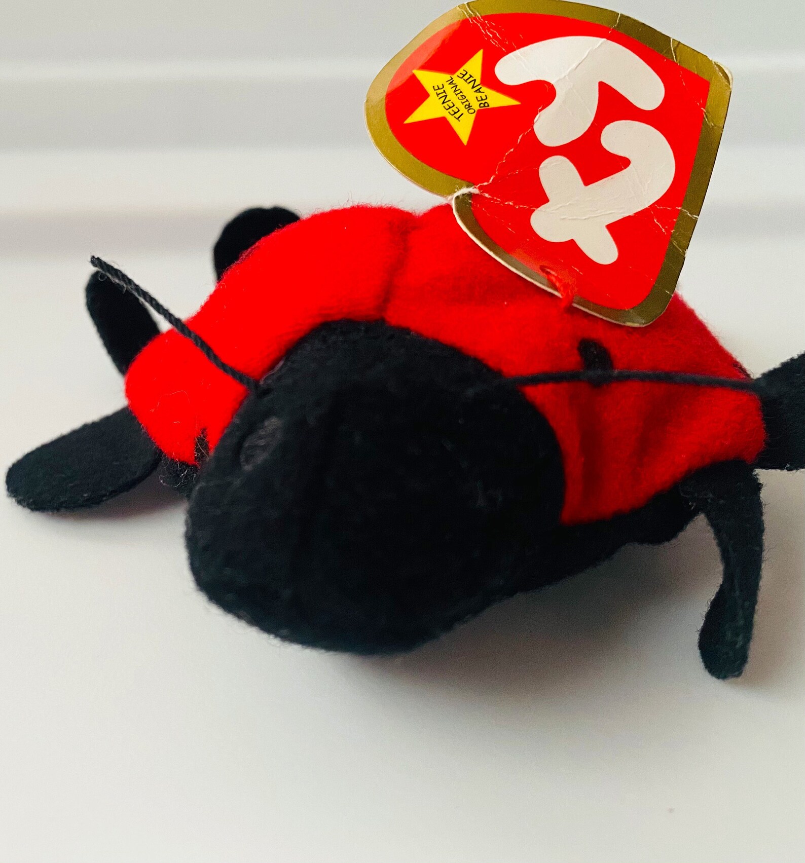 Teenie Beanie Baby Lucky the Ladybug, Beanie Baby Lucky the Ladybug