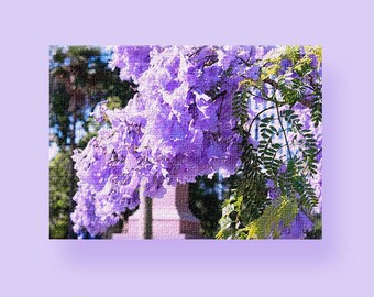 Auckland's Purple Princess Tree Canvas Print | Paulownia Fortunei Flowers | Nature Photo Print