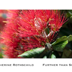 Further Than Space Photography Ebook by Catherine Rothschild | EPUB Digital Download | Kiwi Themed Photography PDF Book