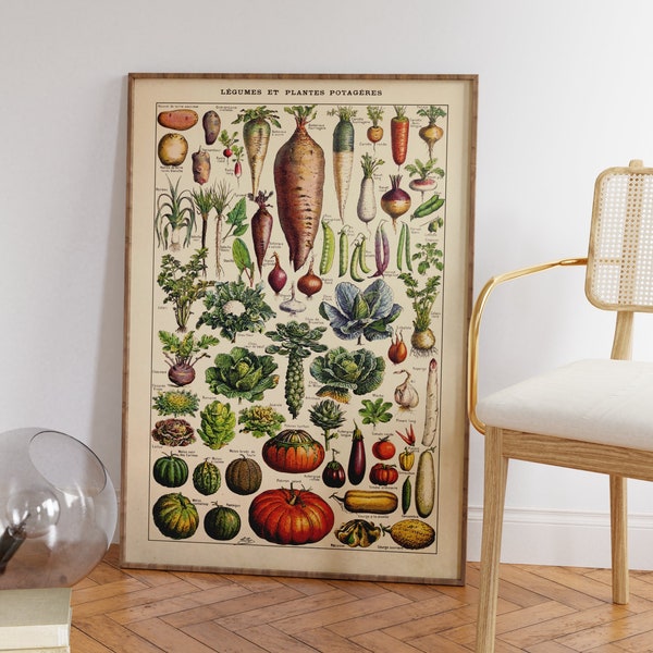 Botanisches Poster | Gartengemüse Illustration