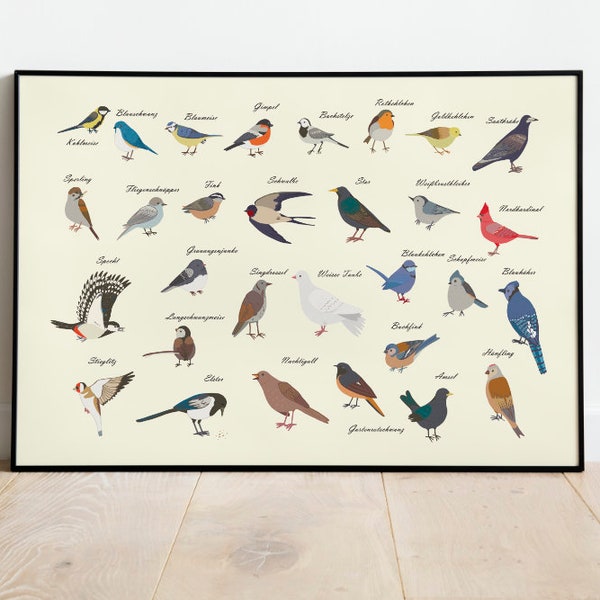 Heimische Vögel Poster | Gartenvögel Natur Bild