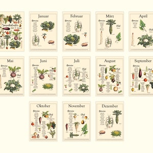 Seasonal calendar fruit and vegetables A4 sustainable shopping image 9
