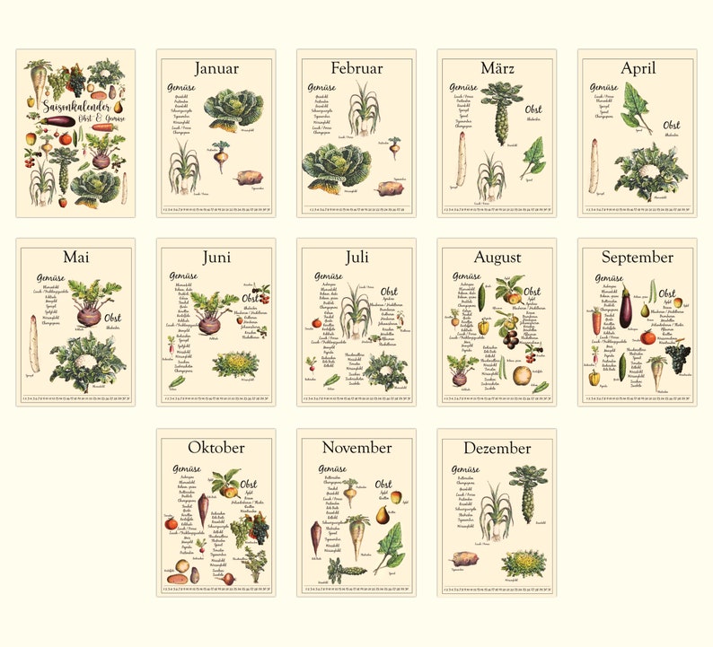 Seasonal calendar fruit and vegetables A4 sustainable shopping image 9