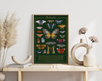 Butterfly Poster | Illustration butterfly species english