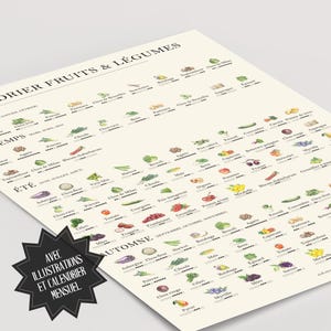 Dieses Poster eines Saisonkalenders für Obst und Gemüse auf französisch zeigt dir verschiedene Obst und Gemüse Pflanzen. Unter jeder Pflanze ist eine kleine Grafik zusehen, die dir verrät, wann welche Pflanze saisonal verfügbar ist.