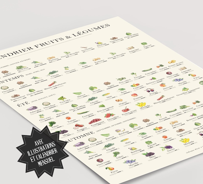 Dieses Poster eines Saisonkalenders für Obst und Gemüse auf französisch zeigt dir verschiedene Obst und Gemüse Pflanzen. Unter jeder Pflanze ist eine kleine Grafik zusehen, die dir verrät, wann welche Pflanze saisonal verfügbar ist.