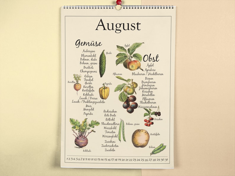 Dieser Kalender zeigt dir verschiedene saisonale und regionale Obst, Gemüse, Salat und Obst Sorten und wann diese verfügbar sind.