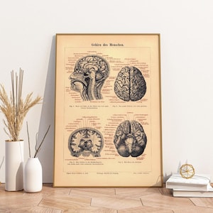 Vintage Poster Medicine Human Brain German