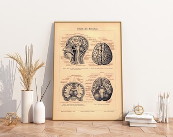 Vintage Poster Medicine Human Brain German
