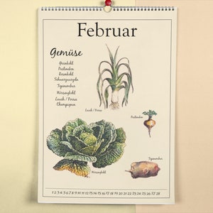 Dieser Kalender zeigt dir verschiedene saisonale und regionale Obst, Gemüse, Salat und Obst Sorten und wann diese verfügbar sind.