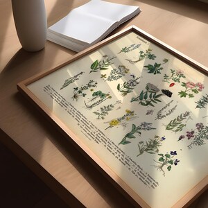 Vintage Poster mit botanischer Illustration von Kräutern und Arzneipflanzen aus dem 19. Jahrhundert, gedruckt auf 200 g/m² Fineart-Papier – ideal als Wanddeko oder Lernhilfe.